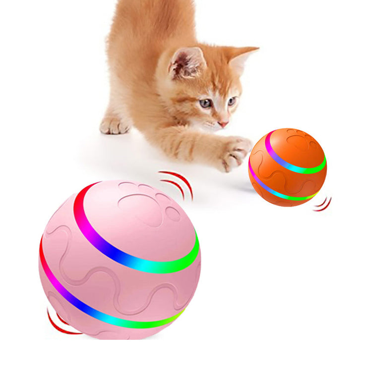 Pet Wicked Ball Toy